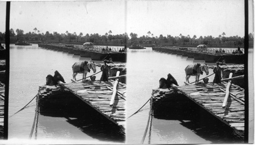 The Tigris River at Bagdad. Mesopotamia