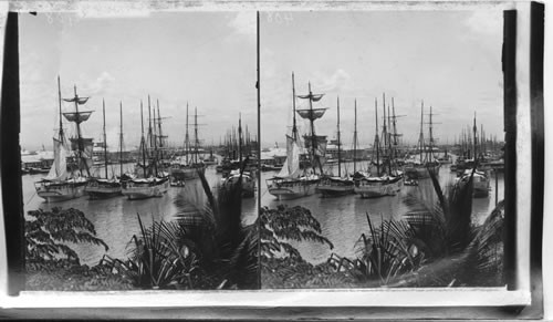 Scene on the Pasig River, Manila