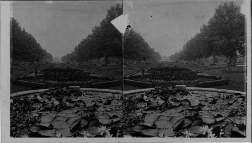 Lily Pond and Sunken Garden. Philadelphia, Penna