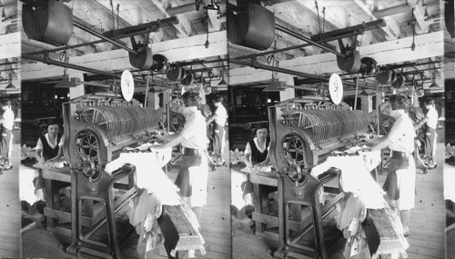 Measuring Machine - Skins are measured automatically as they pass thru this machine, Standard Kid Manufacturing Co. Wilmington, Del