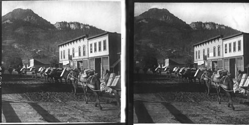 Packtrain leaving Ouray with supplies for the mines. Ouray, Colorado. Good