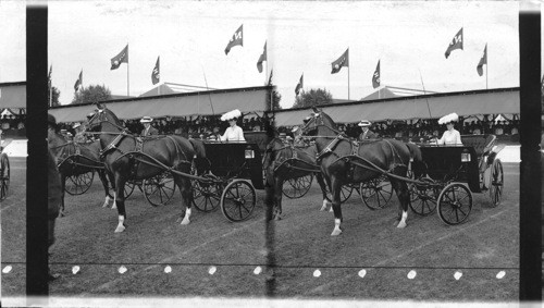 Among the Millionaires and Prize Winners, Great Horse Show, Newport, R.I