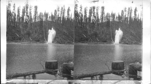 Logs shooting down a mountainside through a 350-feet. Flume to water. Oregon. U.S