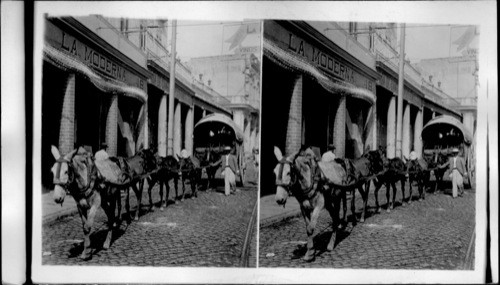 Principe Alfonso Street, Havana, Cuba