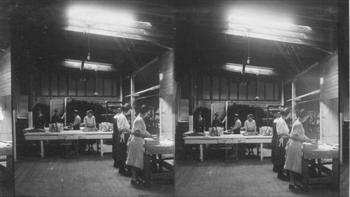 Packing & boxing smoked cod fish, Canard, N.S., Canada