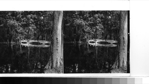 Near Charleston: the bridge across the lower end of Big Cypress Lake in Magnolia-on-the-Ashley, familiarly known as Magnolia Gardens today, is mirrored in the dark waters. Magnolia was one of the important Low Country plantations near Charleston and is now a mecca for tourists in the early months of the year when the gardens are gorgeous with countless and varied blooms