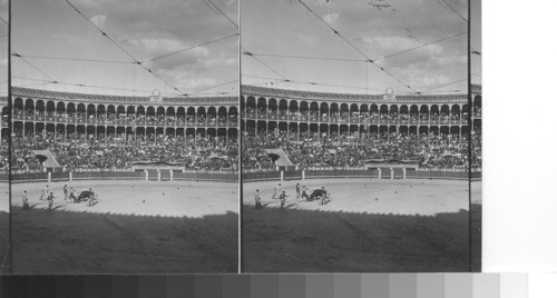 A bullfight in Spain. Madrid