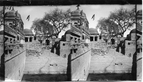 Mohammedan boys leaping from a tower 60 ft. high into a sacred tank Delhi, India