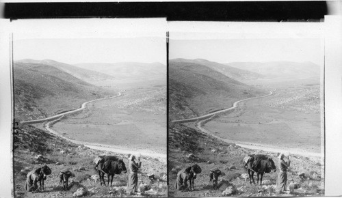 The Barley Vale leading north toward Shechem; Gerizim and Ebal ahead, Bedouins in the Philistine country. Palestine