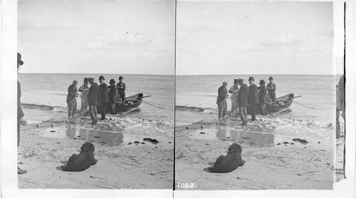 Watching the fishing, Coney Island. New York