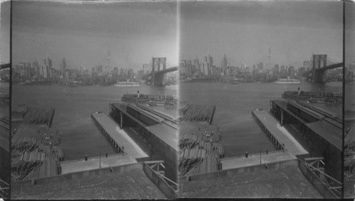 New York from Brooklyn Side Showing Skyscrapers