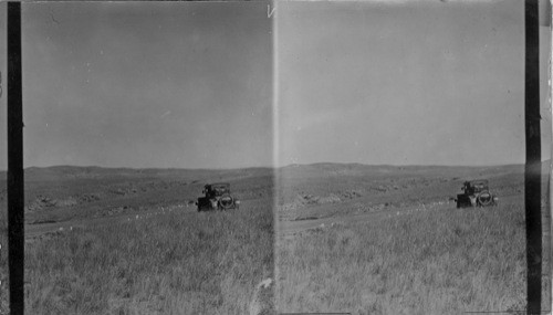 Custer hill - top, markers of fallen on way to last stand. Mont