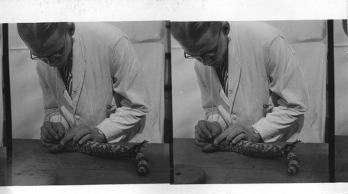 Extracting venom from a Gila Monster. To do this, a disk of rubber is given to the Gila Monster to bite. In biting it he emits poison which is sucked through a glass tube. H.K. Mulford Laboratories, Glenolden, Pa