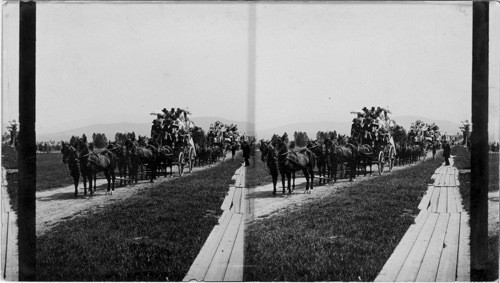 The Great Tally - ho Carnival in line, New Hampshire