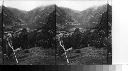 Haymaking above the Geiranger Fjord. Norway