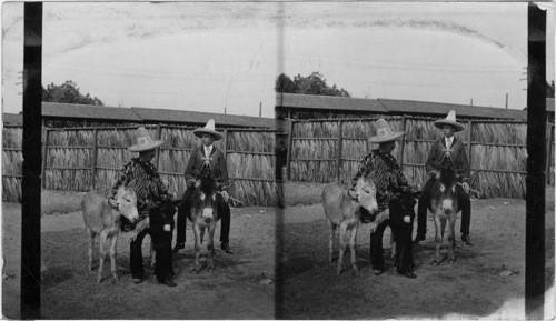 Far from home! Cotton States International Exposition Atlanta, Georgia