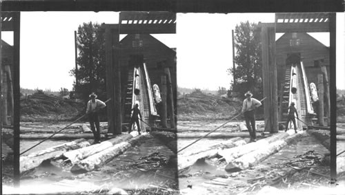 Slip elevating logs to the saw, Oregon (?)