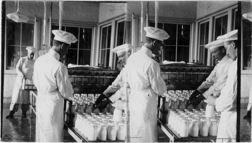 Filling Milk Bottles, Briarcliff Farms, Near New York City, N.Y