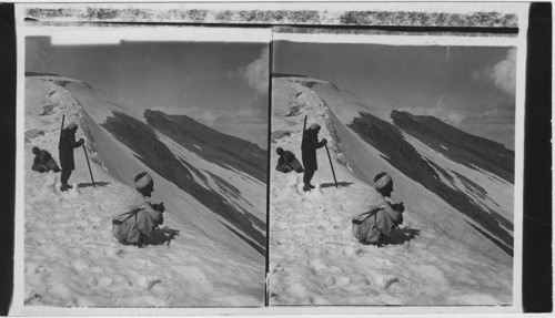 The Snow-clad Summit of Mt. Hermon. Palestine