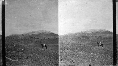 The Medicine Mt. North, Big Horn Mts., Wyoming