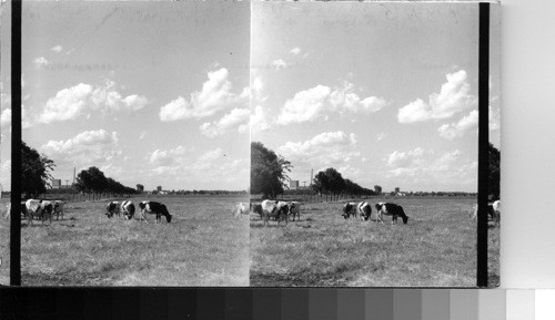 Lincoln Highway; Farm scene near Grand Junction, Nebr