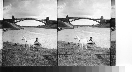 Kiel canal bridge near Kiel, Germany