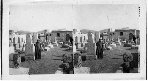 Among the Tombstone in the Egyptian Cemetery Alexandria