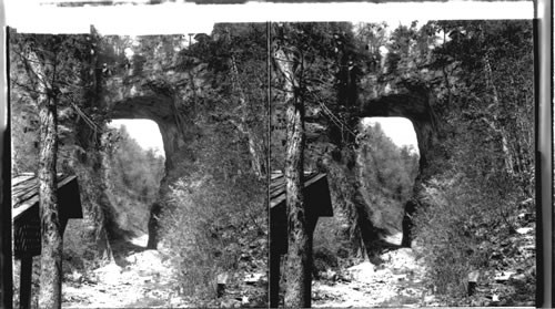 One of Nature's curiosities, the Natural Bridge. Rockenbridge Co., Virginia