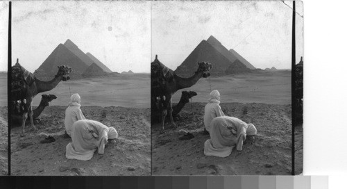 Bedw ? - Two camel drivers stop at the rising of the sun to pray to Allah - their face toward Mecca. Giza, Egypt. Compare with the Mecca ward view to see same direction
