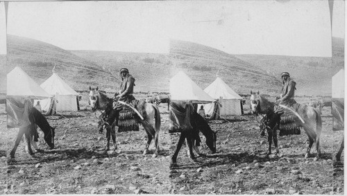 Our camp. Mt Gilboa near where Saul died. Palestine. [David Jamal]