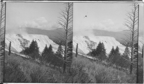 Jupiter Terrace, Yellowstone National Park. Wyoming