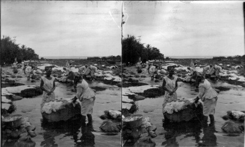 Washerwomen - Roseau, Dominica. West Indies