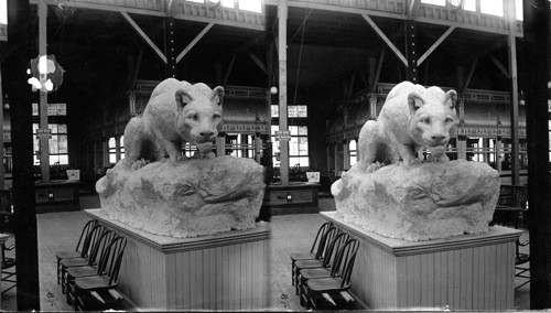 King of Cats, Shoe and Leather Department, Columbian Exposition. Chicago, Ill