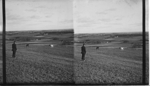 General view over farms from Mt. Albion, nine miles east of Charlottetown looking S.E., P.E. Island