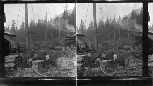 Logging camp near New Westminister, B.C