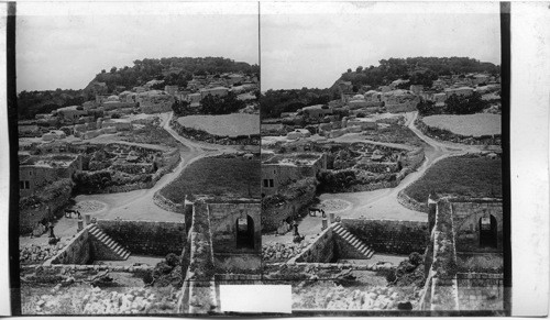 Ancient Royal City of Samaria where Philip Preached Christ - Palestine, looking West. Samaria. Palestine. Asia