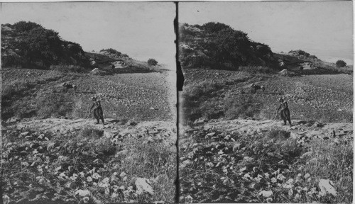 Rock of Elijah’s Altar on Mt. Carmel and Plain of Esdraelon, Palestine