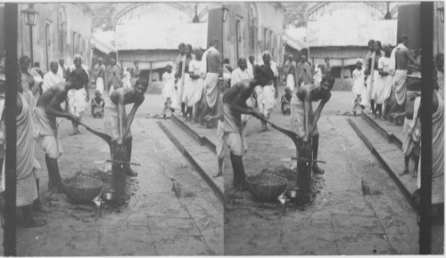 Goat Sacrifice - Kalighat Temple - Calcutta - India