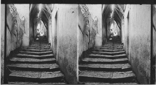 A Narrow tortuous street, roofs nearly meeting overhead characteristic of the Arab garters, Algiers, Algeria