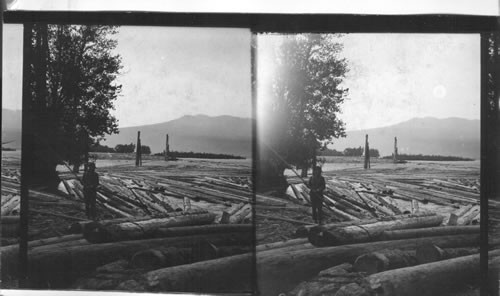 Floating logs to mill. Oregon (?)