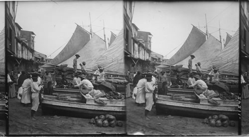 Busy life among the market boats in the harbors, Panama