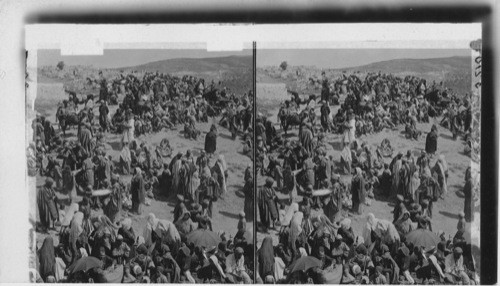 Mohammedan throngs during “Sacrifical Week” outside the eastern walls of Jerusalem. Palestine