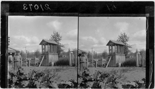 Provision Cache (Meat) - Stewart River, Y.T. Canada