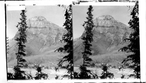 At the base of Mt. Stephen Field. British Columbia. Canada