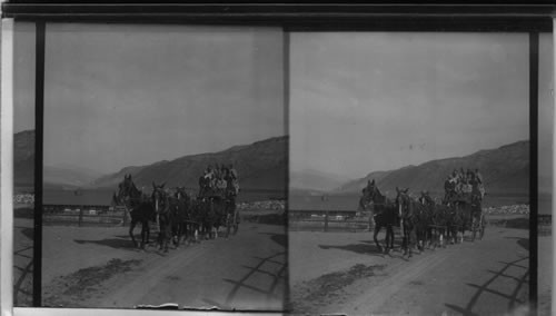 Stage Starting from Gardiner for Trip Through Yellowstone Park, Wyo