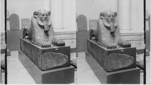 Sphinx - Shepherd Kings, Egypt