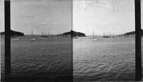 The Harbor from the wharf, Bar Harbor, Maine