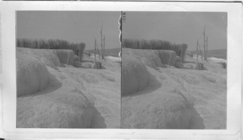 The Lower Pulpit Terraces, Mammoth Hot Springs, Yellowstone National Park