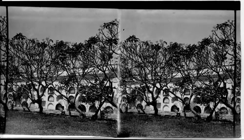 Paco Cemetery - each oval opening in the wall is a tomb, Manila, Philippine Islands