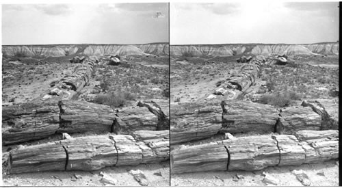 Petrified Trees and Painted Desert, Arizona